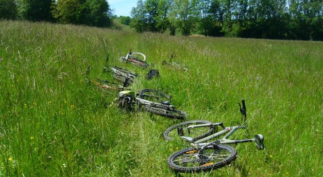 Les Chamois'elles en roue libre image article