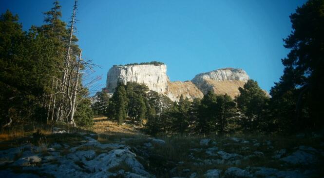 Les pierres du Vercors image article