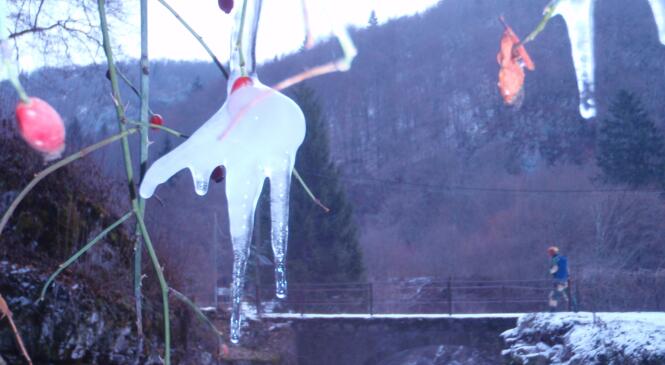 Grotte de PREROUGE !!! image article
