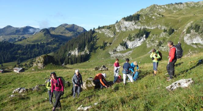 Deux jours entre Faucigny et Chablais image article