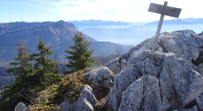 Le Rocher de Bade... et un peu plus ! image article
