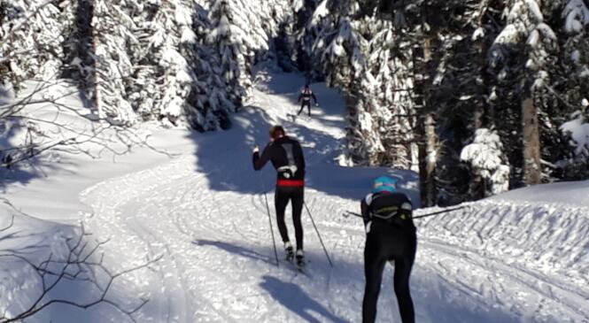 Festi'Nordic - des Initiations pour TOUS image article