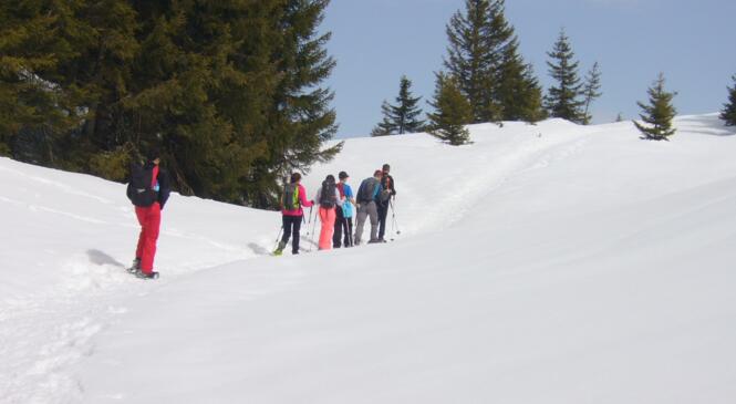 Montagne pour tous raquettes aux pieds image article