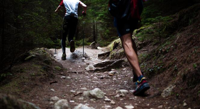 Le Trail au CAF : Saison 2018-2019 image article