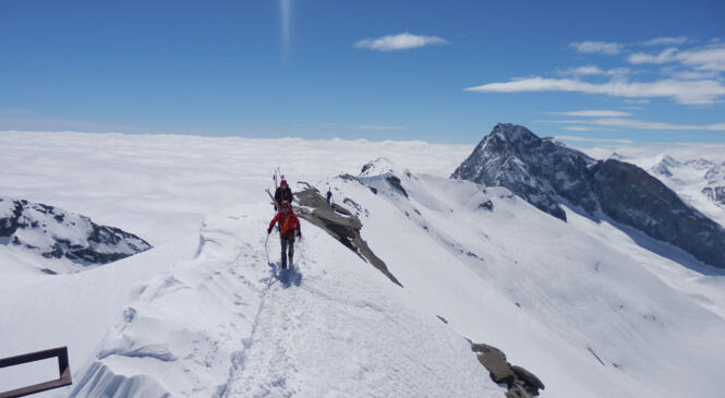 Le cycle de perfectionnement en ski alpinisme est publié ! image article