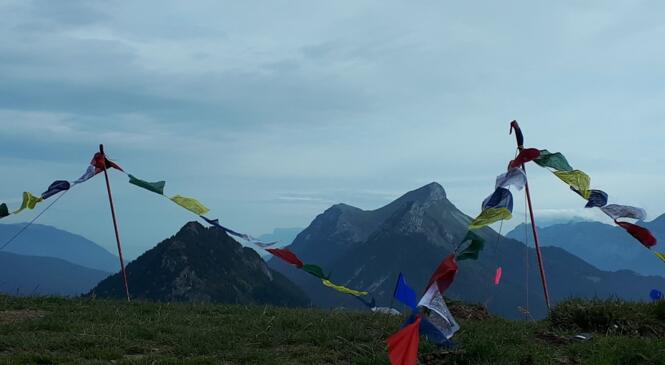 Retour photo du Sherpa Trail image article