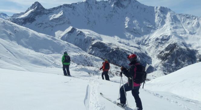 FREERANDO 2020 en vue ! image article