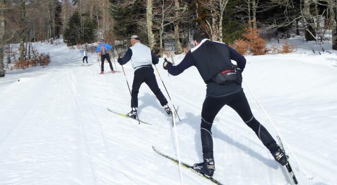 Stage de formation "Initiateur ski de fond" à La Féclaz image article