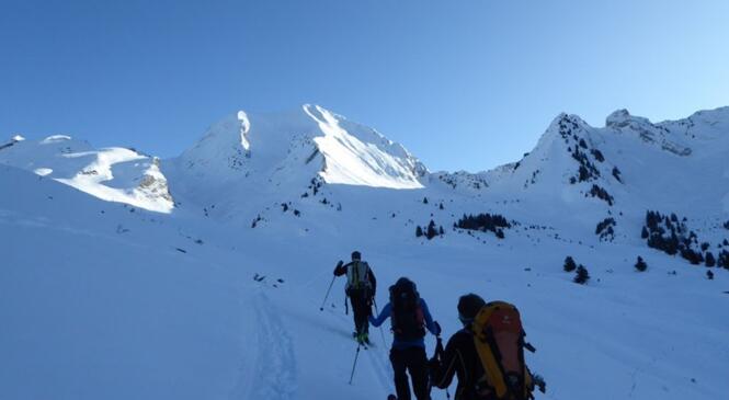Sur les pentes SW du Charvin image article