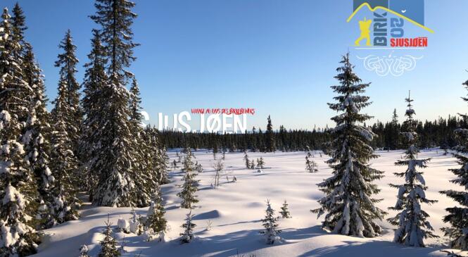 image article