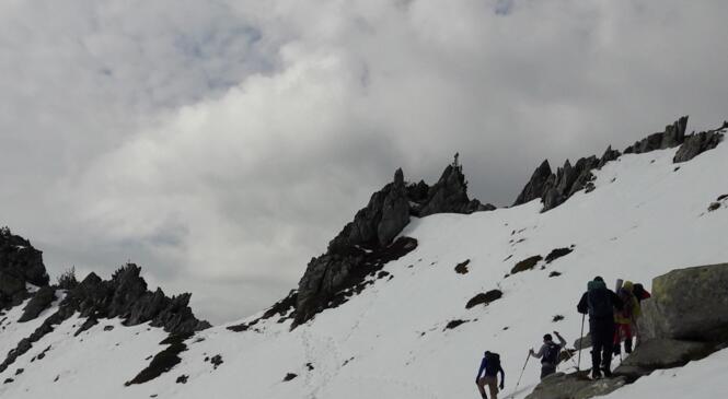 Le col de la Frèche, rando raquettes...sans raquettes image article