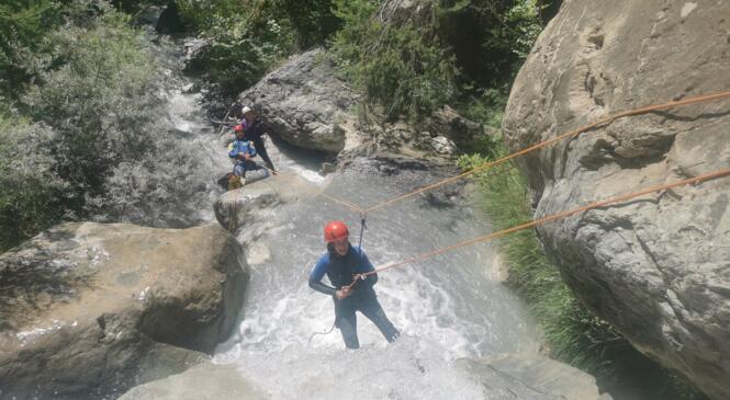 Organisation de la saison 2021 - Cycle initiation et groupe perfectionnement image article
