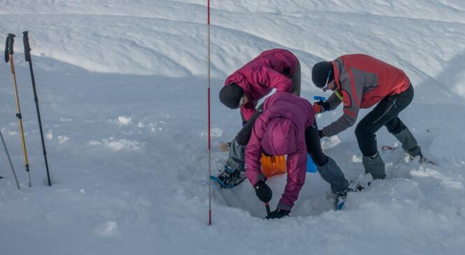 8 janv, DVA PARC , Journée de formation aux secours en avalanche image article