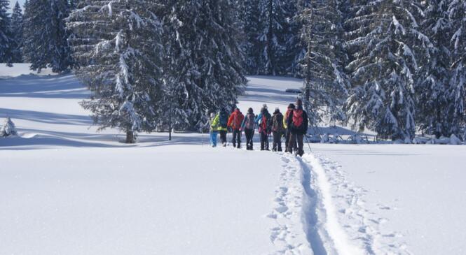 Grand Parcours ski de rando nordique - 15 & 16 janvier 2022 image article