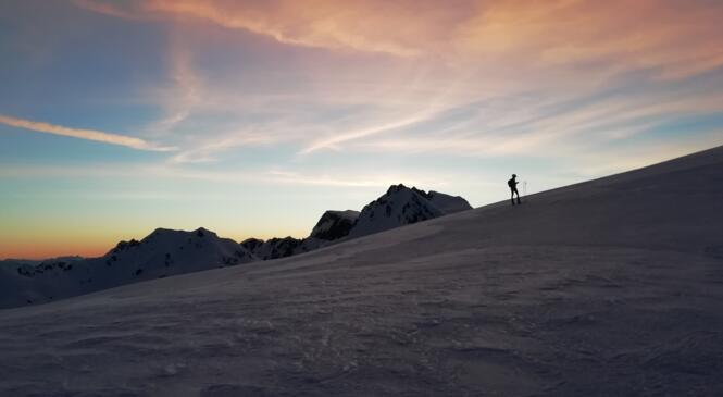 Ski-alpi compétition : l'activité reprend du service ! image article