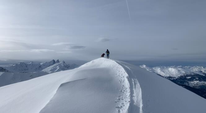 Compte-rendu de la sortie n°1 du cycle Perfectionnement Ski de rando/alpinisme image article