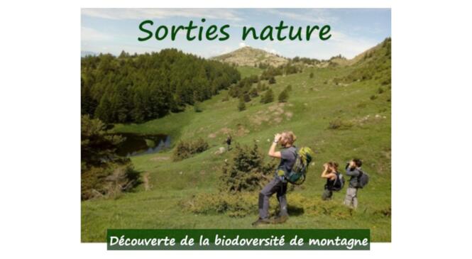 Cycle de sorties nature en Chartreuse image article