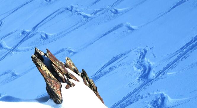 SORTIE TECHNIQUE AVEC MONITEUR POUR LES ENCADRANTS ET CO-ENCADRANTS DE LA COMMISSION SKI ALPINISME image article