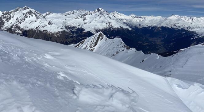 Belle Plinier, ça n’a pas fait un pli ! image article