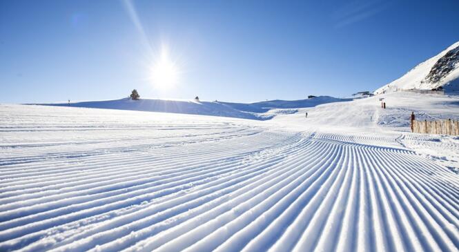 SKI ALPIN / SNOWBOARD > Nous y sommes presque !! image article