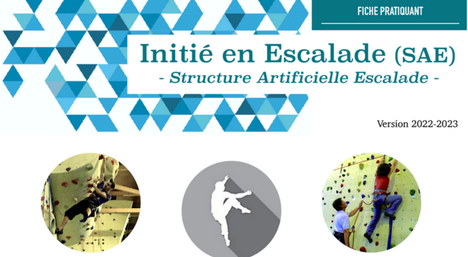 image article