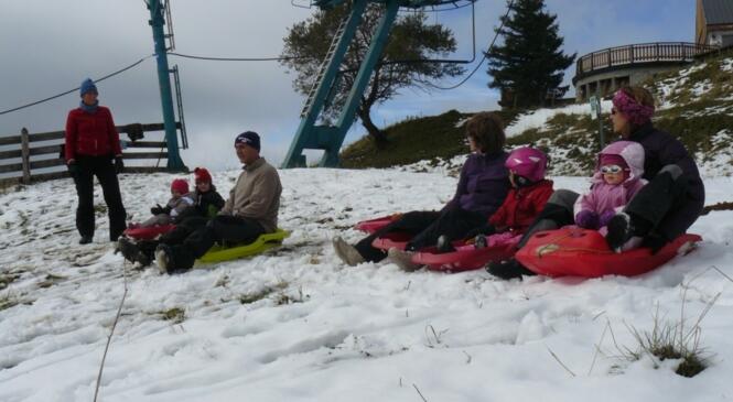 LUGE au REVARD image article