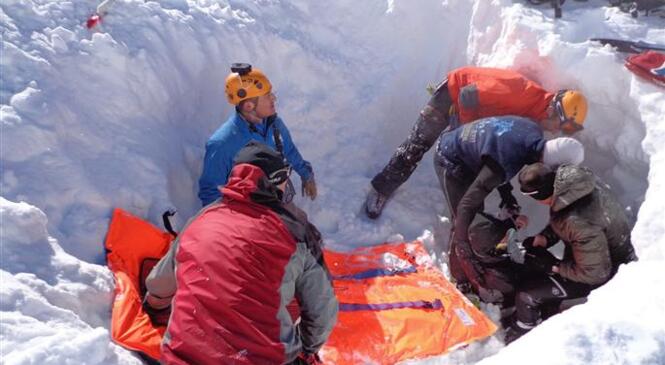 La survie en avalanches image article