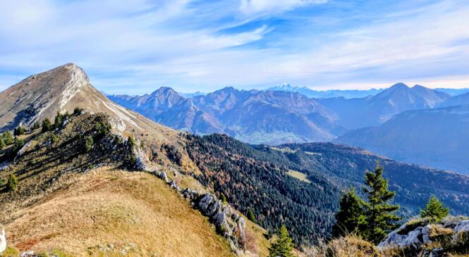 Vent, Mains et Couleurs : Les ingrédients d'une belle sortie automnale image article